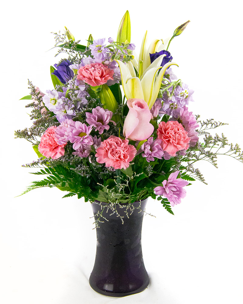 <b>Notice</b>: Undefined index: name in <b>/home/stranges/public_html/shop/vqmod/vqcache/vq2-catalog_view_theme_default_template_product_search.tpl</b> on line <b>386</b>